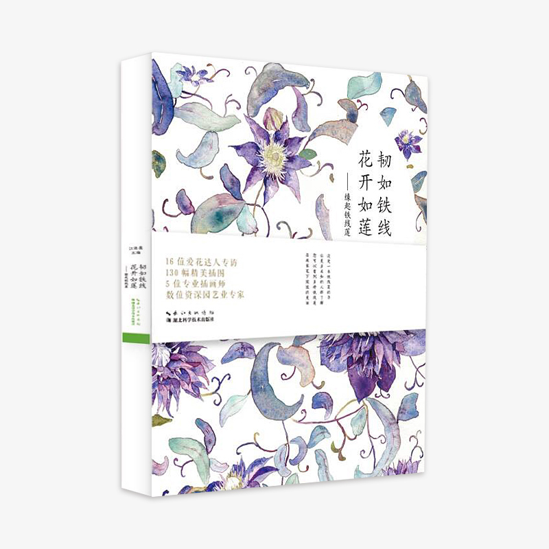 《韌如鐵線(xiàn)，花開(kāi)如蓮》