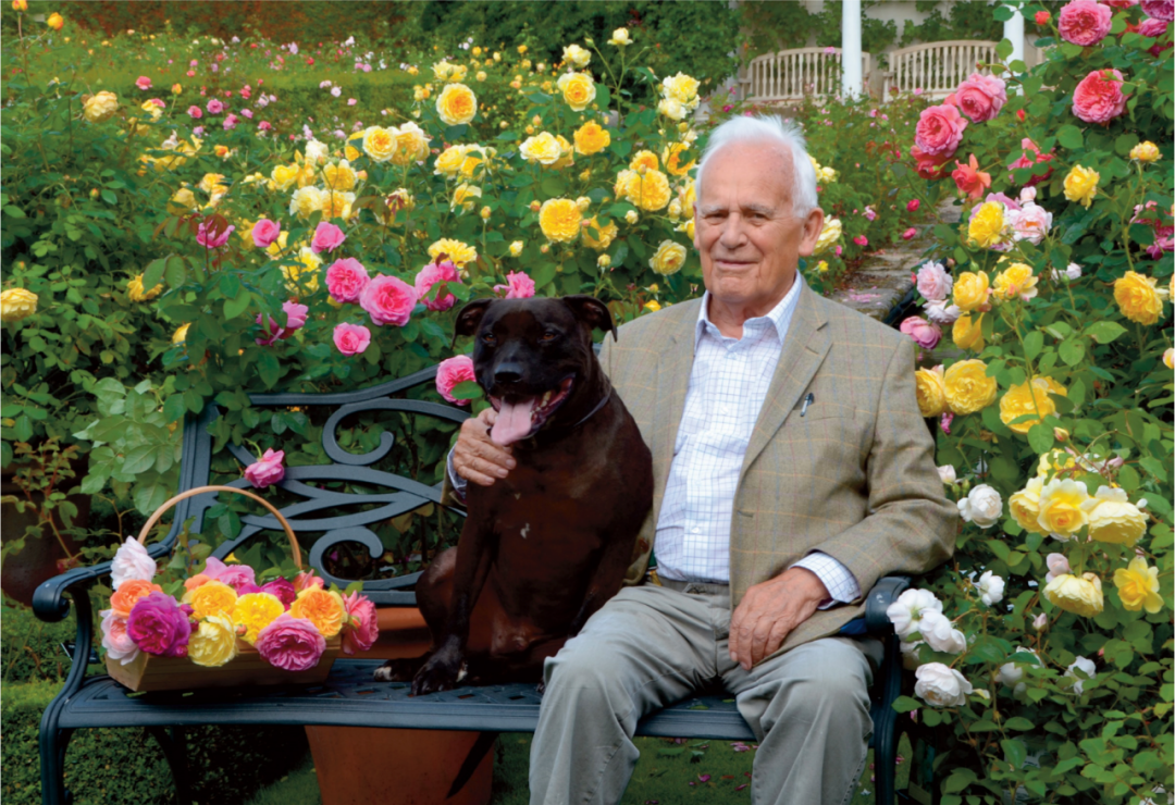 顏值暴擊！史上最全大衛(wèi)奧斯汀歐月指南