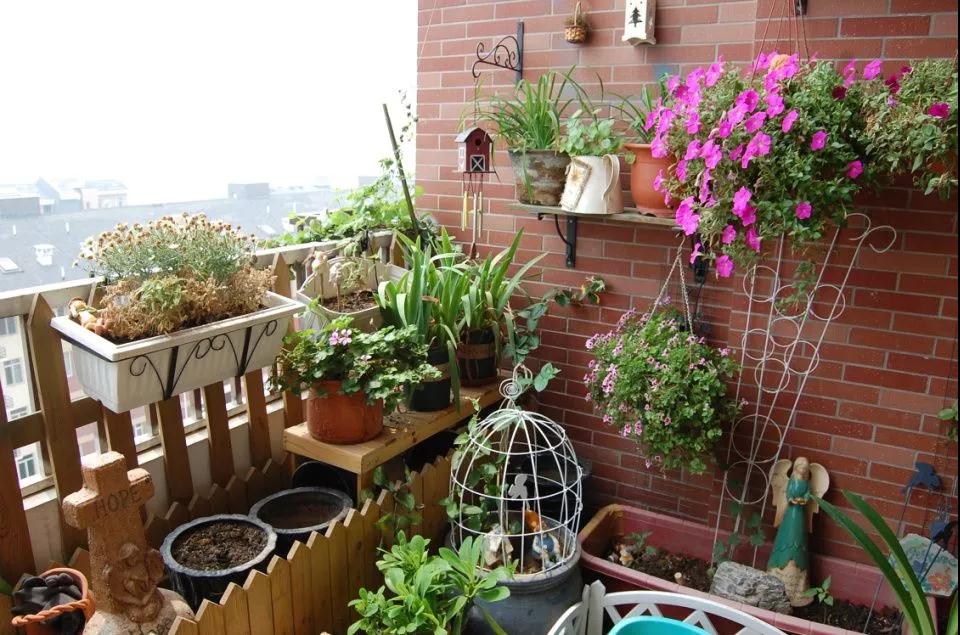 什么技巧可以讓“偽花癡”快速進(jìn)階為園丁達(dá)人？