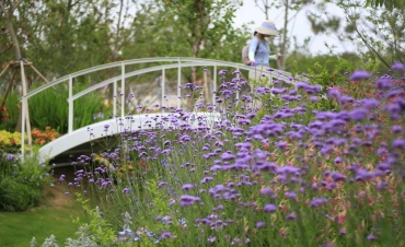 第10屆花博會，虹越喜獲11項大獎！
