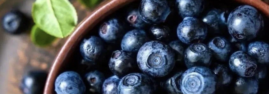 想要從0開始學(xué)種藍(lán)莓？這份“大神指南”送給你~