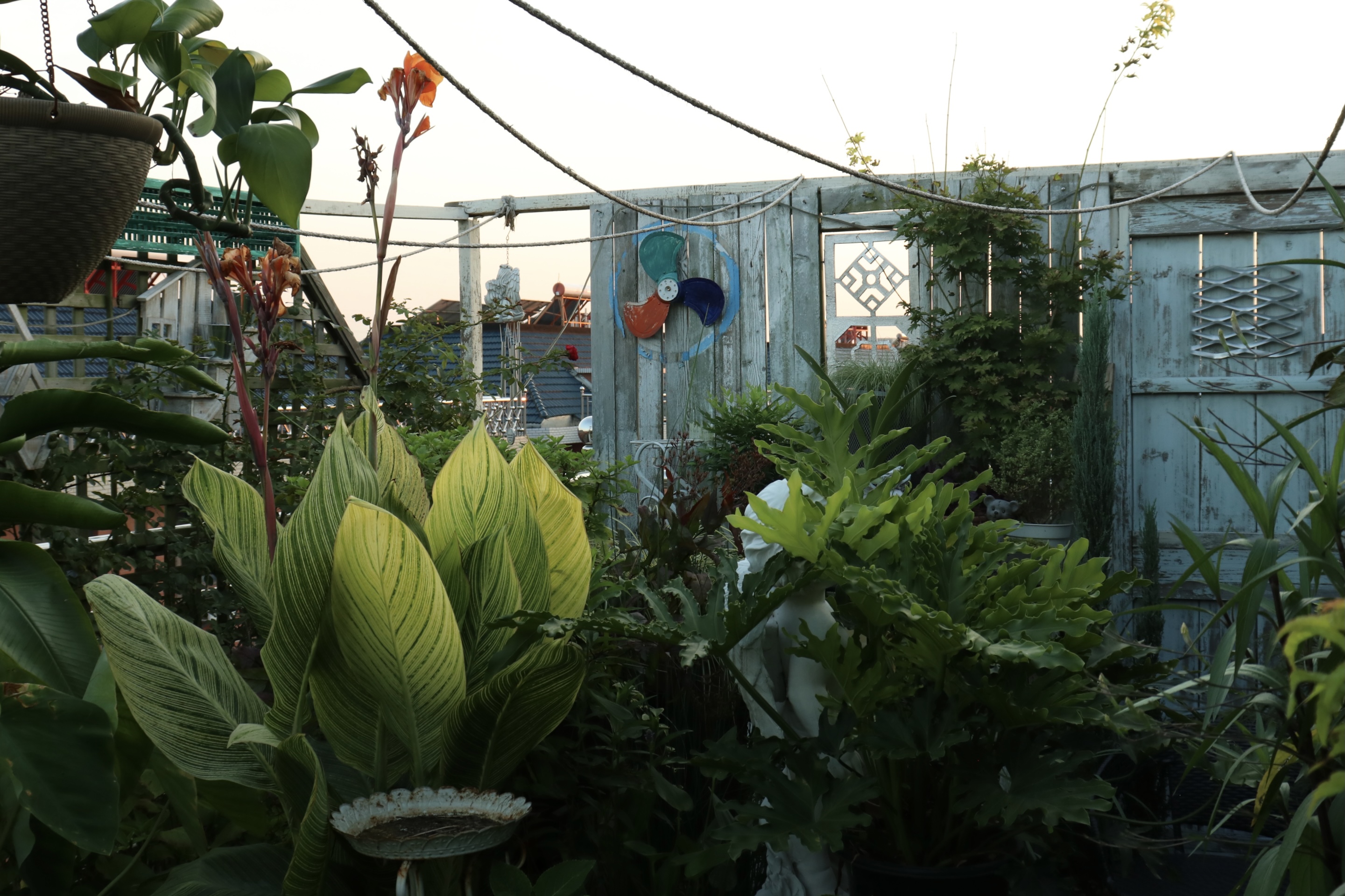 0元爆改水泥天臺(tái)，高手竟在我身邊？！