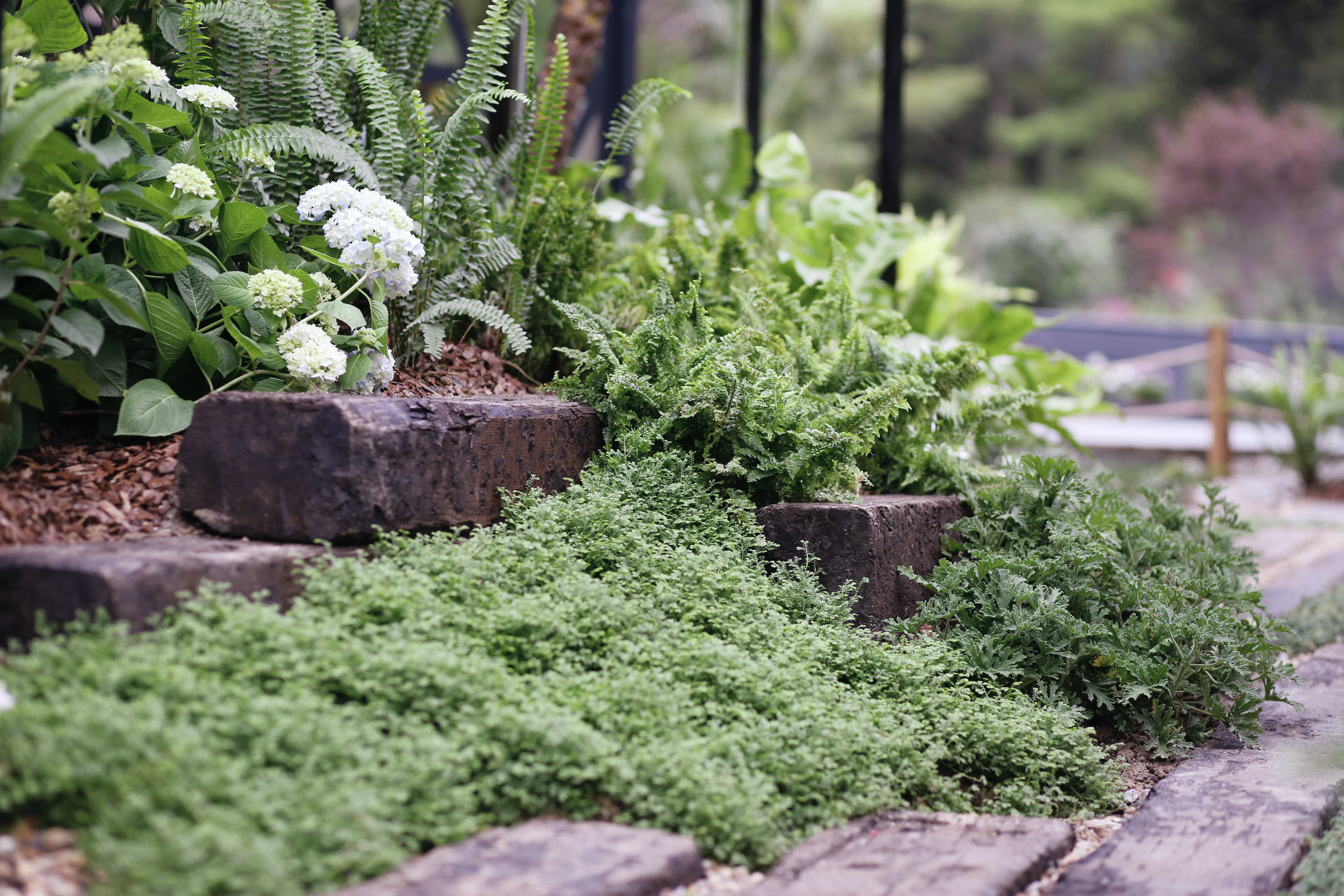 8座刷爆朋友圈的國(guó)際設(shè)計(jì)師花園，打開(kāi)生活新方式！
