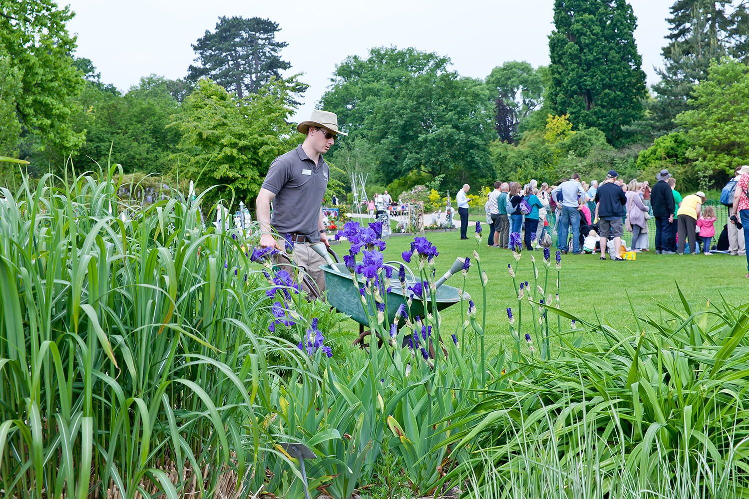一年一度清園季！學(xué)會這波操作，病蟲統(tǒng)統(tǒng)不見~