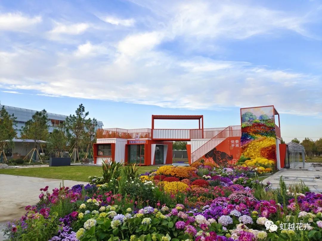 我們在烏鎮(zhèn)帶來了一場花花盛宴，華美絢麗如秋日油畫！