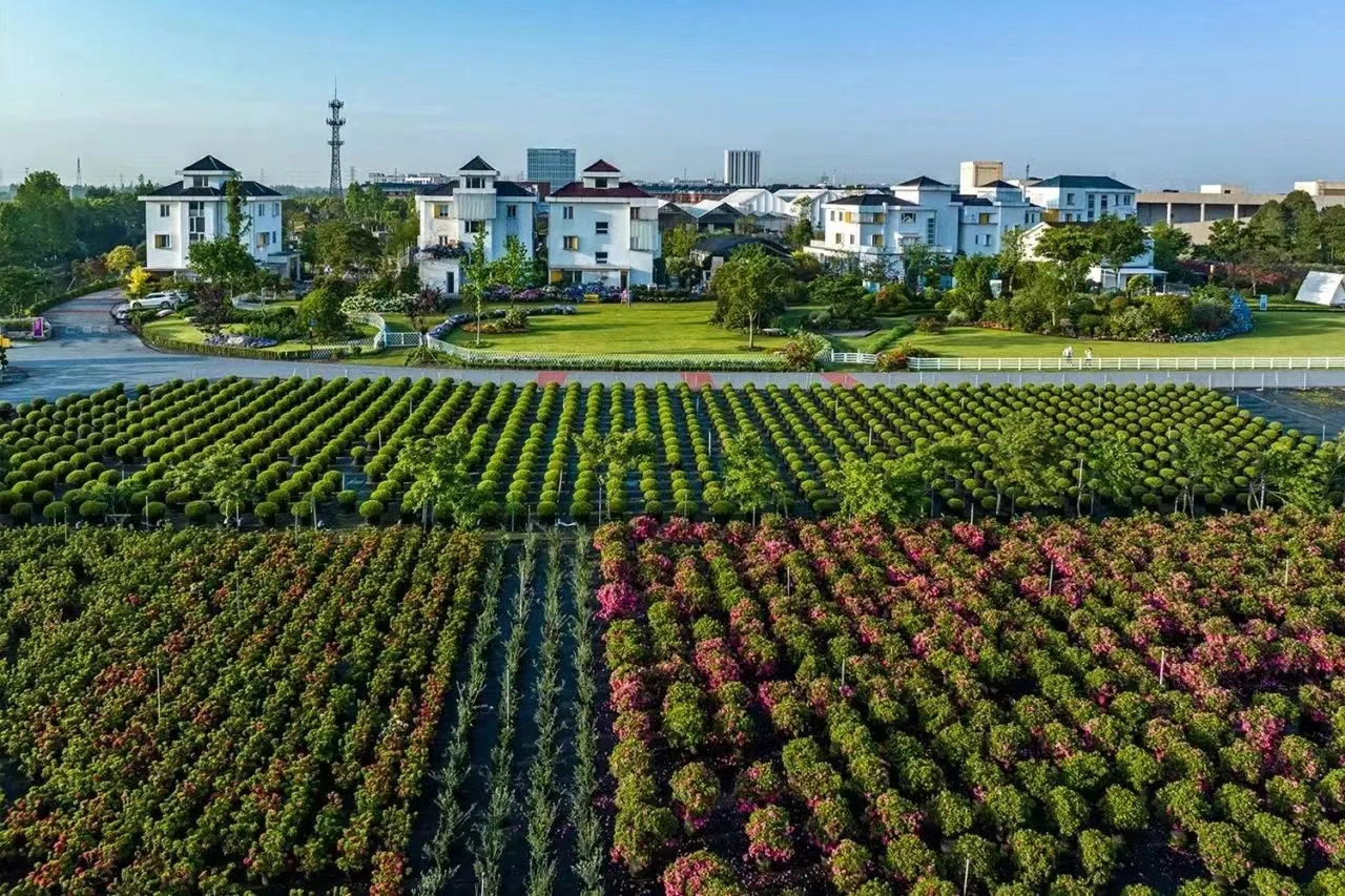 過(guò)年不打烊！虹越線(xiàn)上零售渠道營(yíng)業(yè)安排通知！