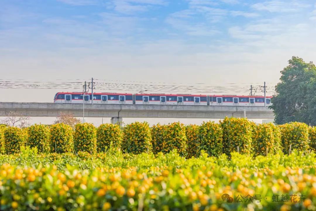 3月又有新花展！還有園藝大咖齊聚，解鎖美麗生活新方式