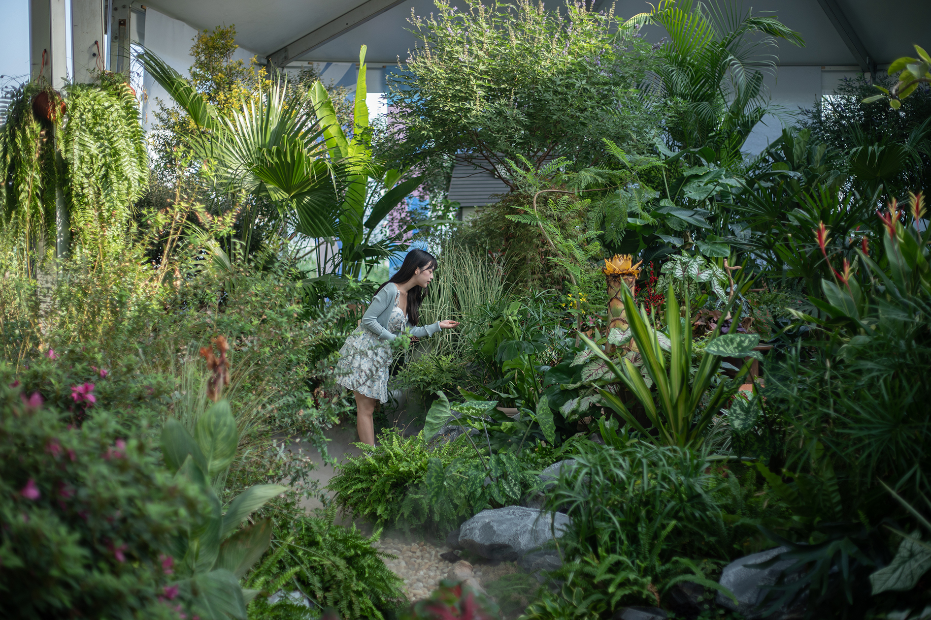 1710336039111913.jpg 1710336039111913.jpg